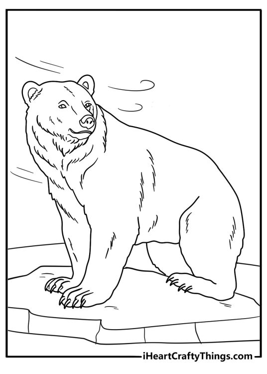 Polar bear on a glacier ridge in strong wind advanced printable coloring page