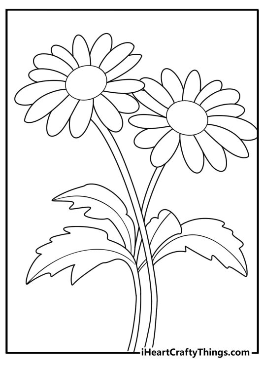 Potted daisy plant coloring page easy for preschool