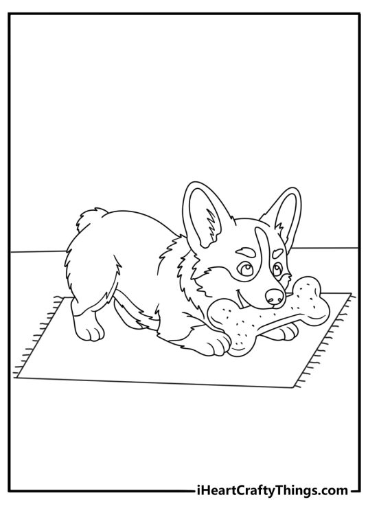 Printable coloring page of a corgi chewing a toy bone on a rug