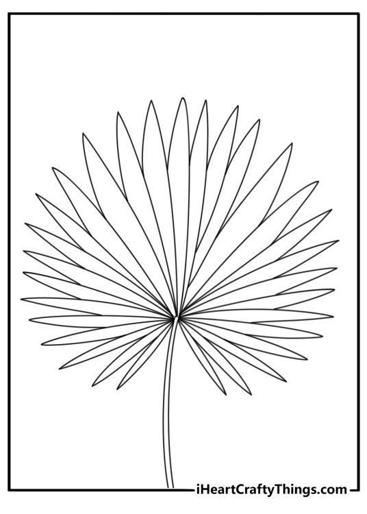 Printable coloring page of a ginkgo leaf with fan shaped lines