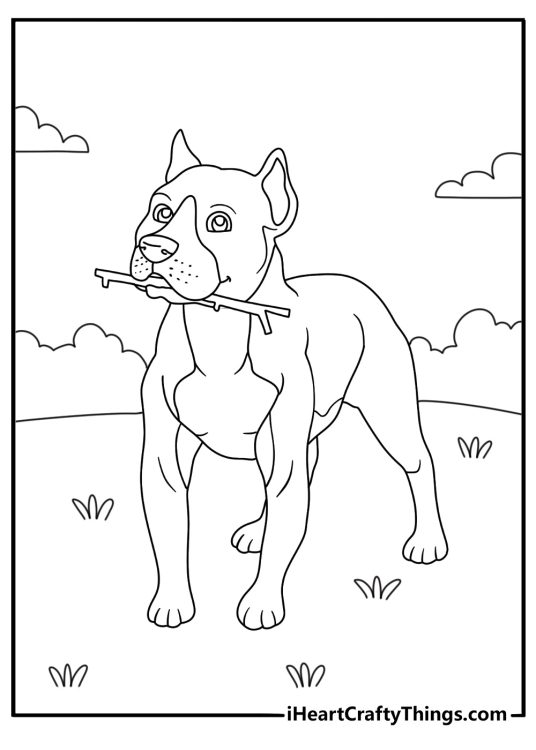 Printable coloring page of a pitbull carrying a stick near a park path