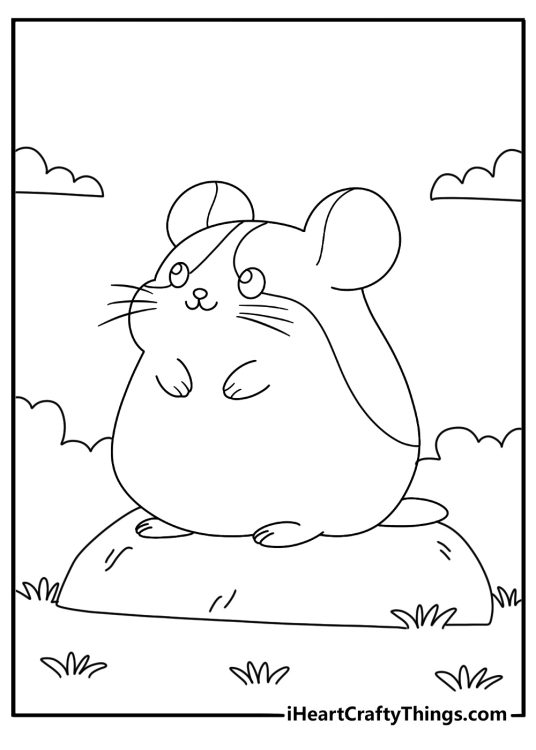 Printable coloring picture for kids of a hamster with big eyes and friendly smile sitting on a rock