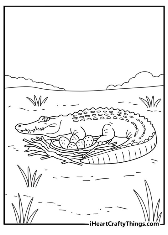 Printable coloring sheet of a crocodile nest with eggs and leaves