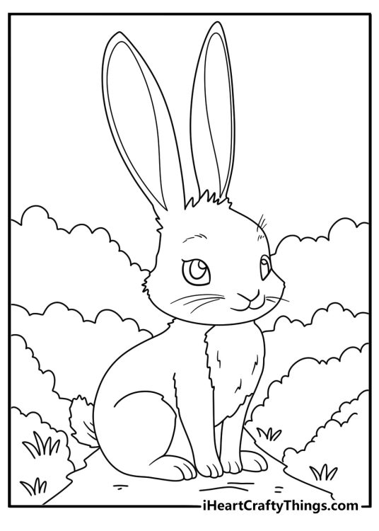 Printable drawing of a rabbit with long pointy ears and fluffy tail sitting on a pathway in a forest