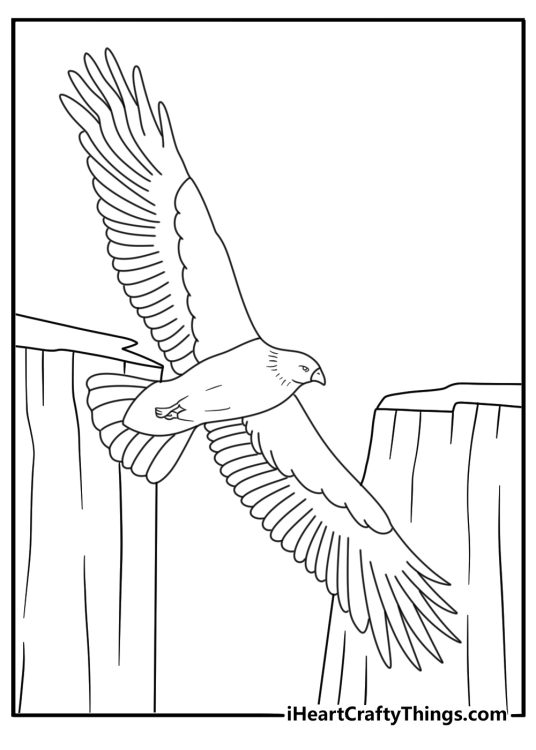 Printable hawk coloring page featuring a bird of prey circling above a desert canyon