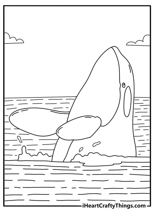 Printable killer whale coloring sheet with an orca spyhopping above the sea