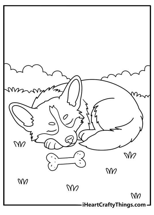 Printable page of an adorable Corgi taking a rest on the grass with a treat in front of him