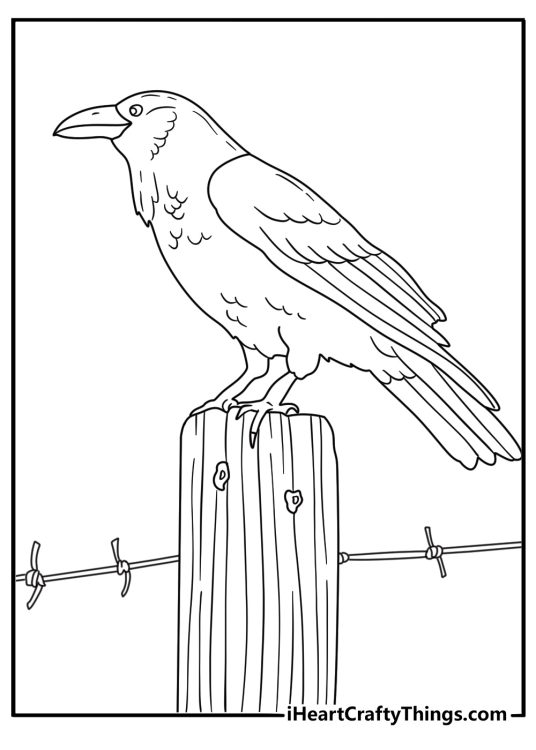Printable raven coloring page with a raven on a fence post