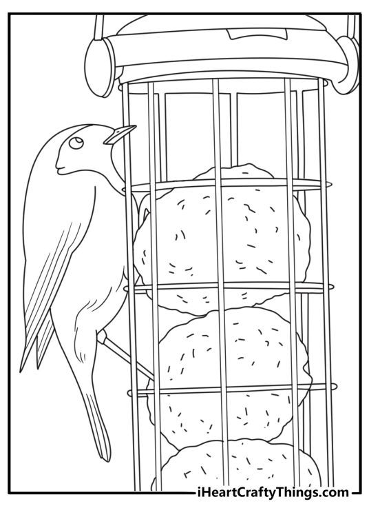 Printable robin coloring sheet with bird near backyard feeder