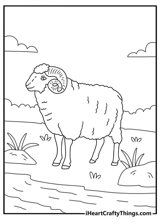 Printable sheep coloring page with a ram beside a stream in the countryside