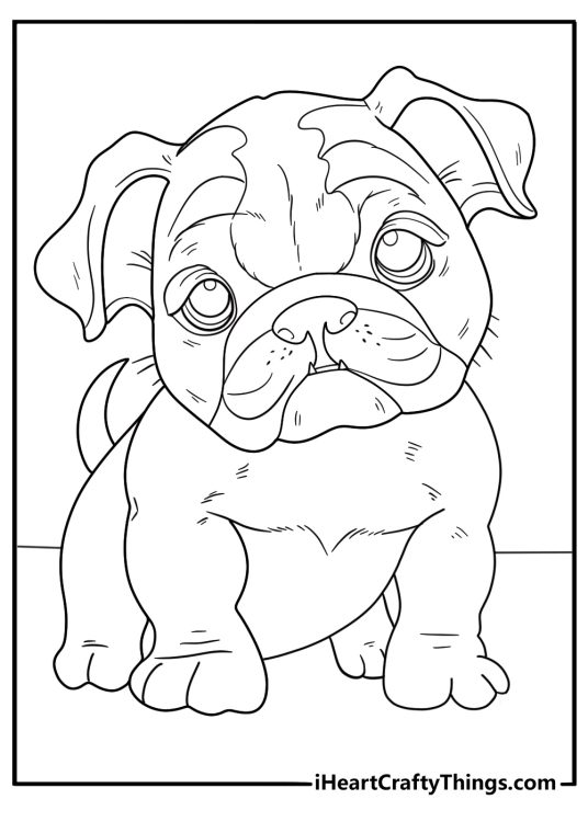 Printable sheet featuring Bulldog puppy with little teeth poking out of his bottom jaw