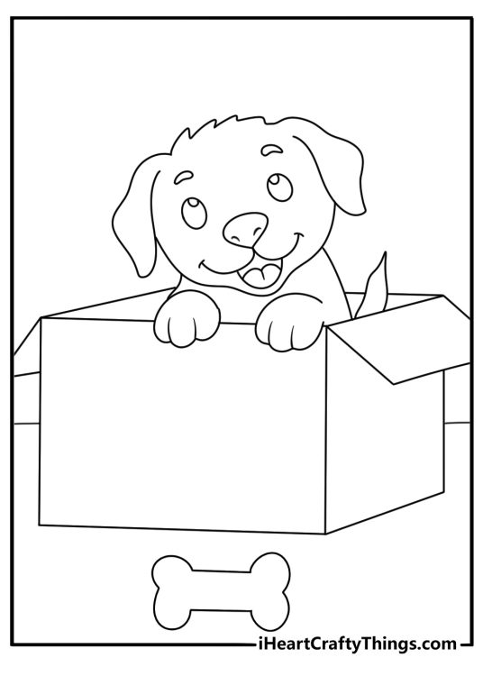 Puppy coloring page for kids featuring a young dog inside a cardboard box