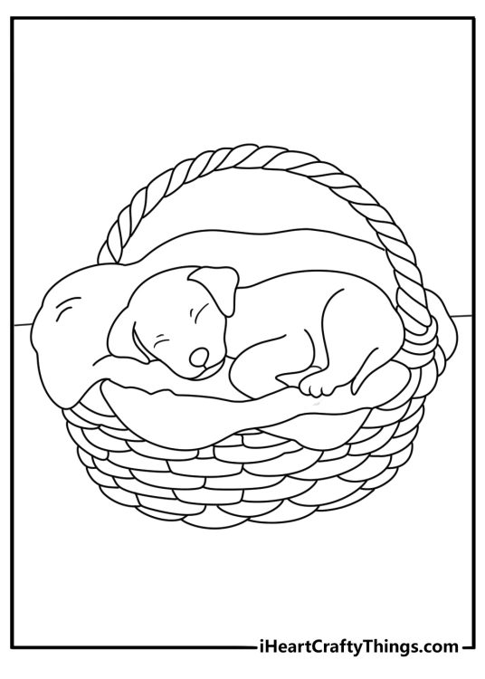 Puppy coloring page showing a young dog sleeping inside a wicker basket
