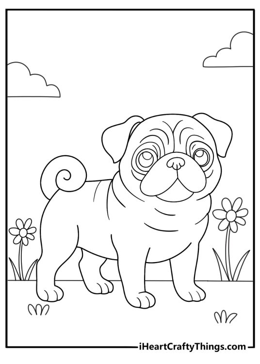 Puppy printable coloring sheet featuring little charming pug with adorable curly tail