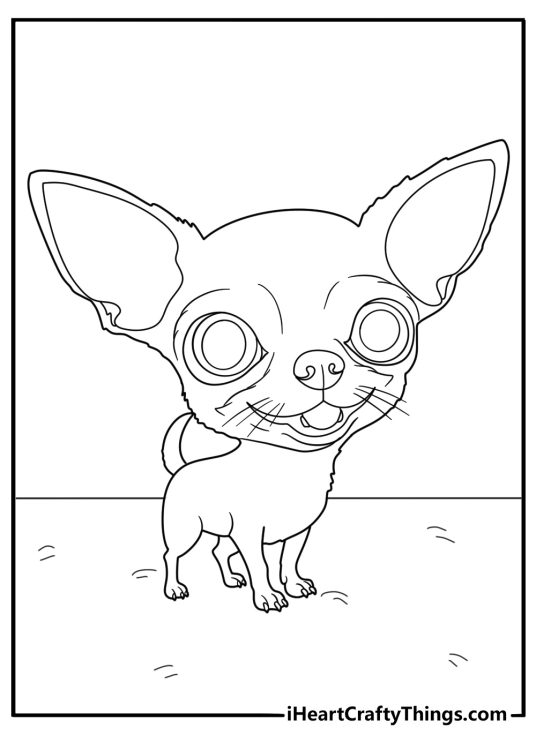 Puppy themed coloring picture featuring little Chihuahua with a mischievous look on her face