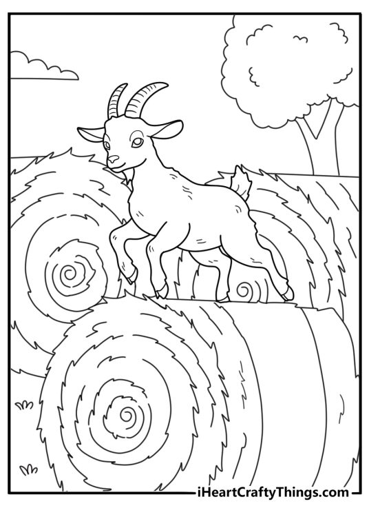 Pygmy goat playing on a hay bale fun coloring printable for kids