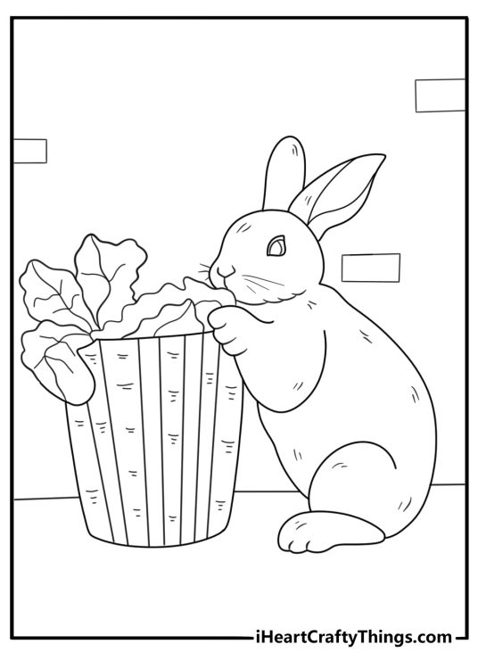 Rabbit beside a basket of lettuce leaves coloring sheet for kids