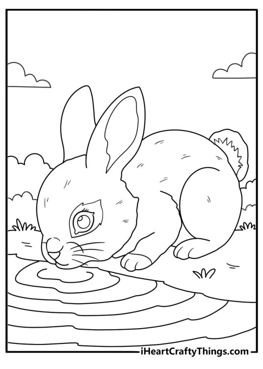 Rabbit drinking at a small stream nature coloring page pdf