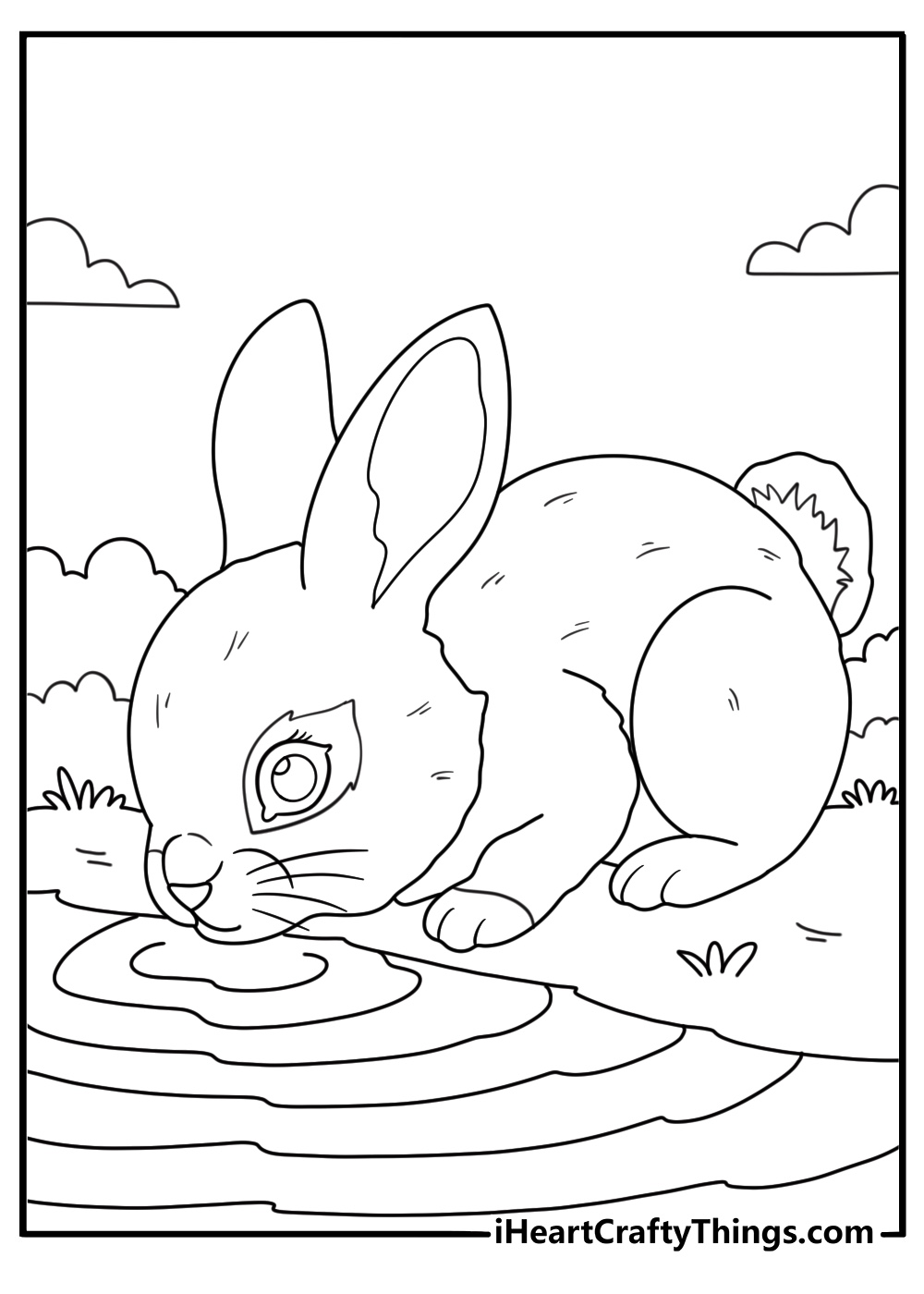 Rabbit drinking at a small stream nature coloring page pdf