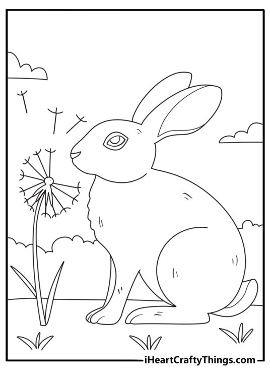 Rabbit touching nose to a dandelion puff simple coloring sheet