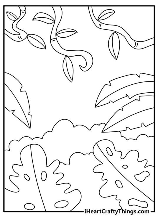 Rain forest coloring page with large leaves and a hanging vine canopy