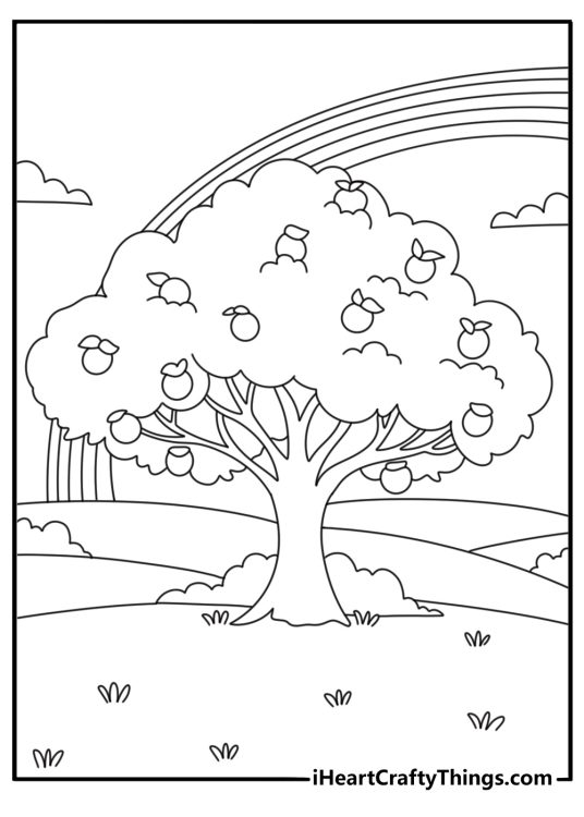 Rainbow over orchard with fruit trees simple coloring page for kids