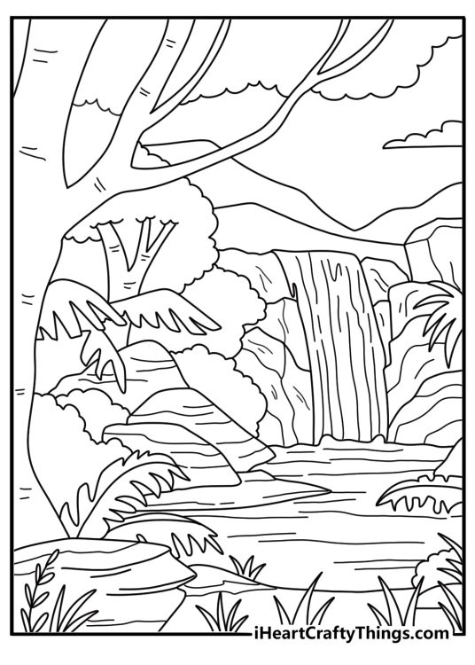 Rainforest waterfall with ferns coloring page printable pdf