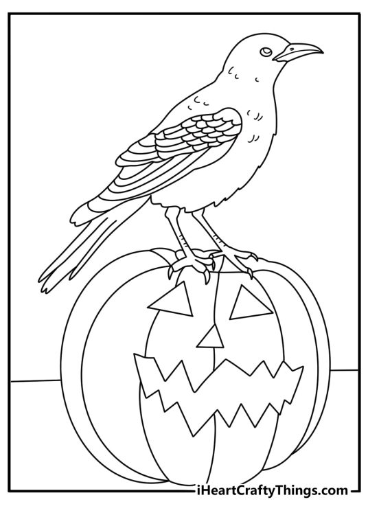 Raven coloring sheet with a raven standing near a carved pumpkin