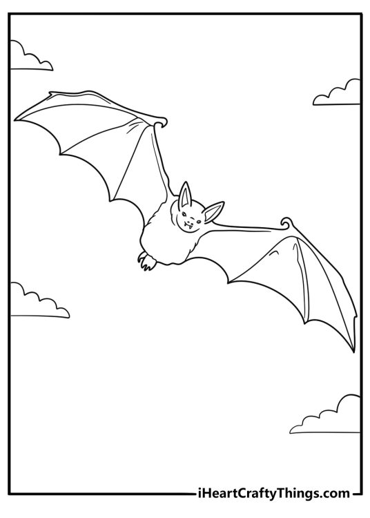 Realistic bat coloring pdf detailed wing membranes close up