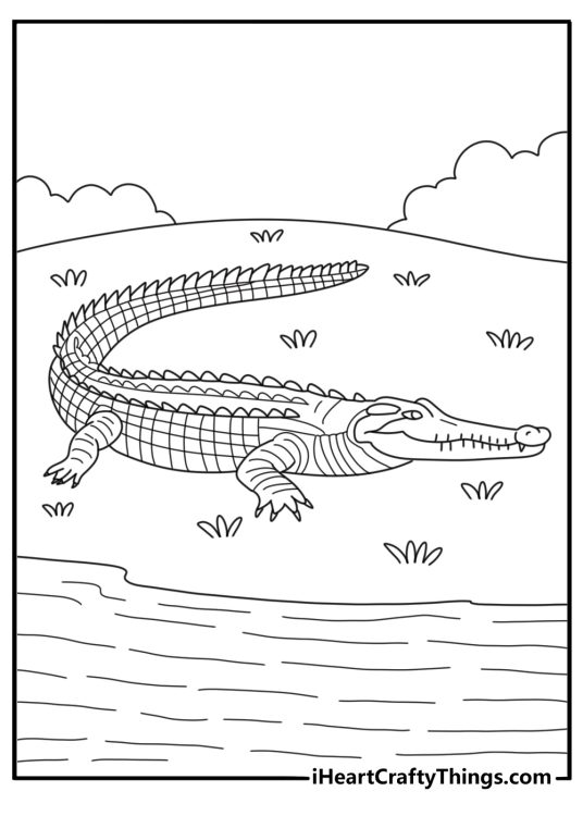 Realistic crocodile coloring pages with a long snout and rough scales