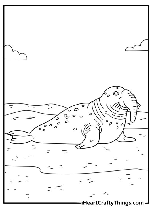 Realistic elephant seal coloring page with large body on sandy beach