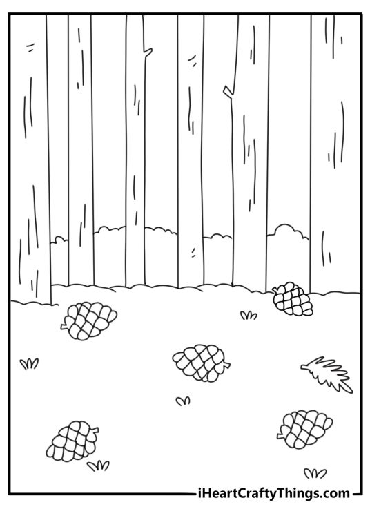 Realistic forest coloring pages with tall pine cones scattered on ground