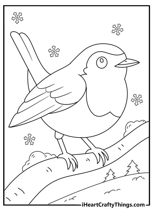 Robin coloring page with bird standing in light snowfall