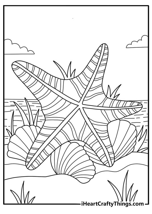Rocky tide pool with starfish and shells printable coloring page