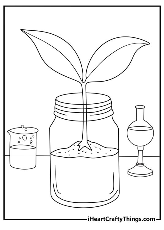 Science coloring page with a plant growing in a clear jar experiment