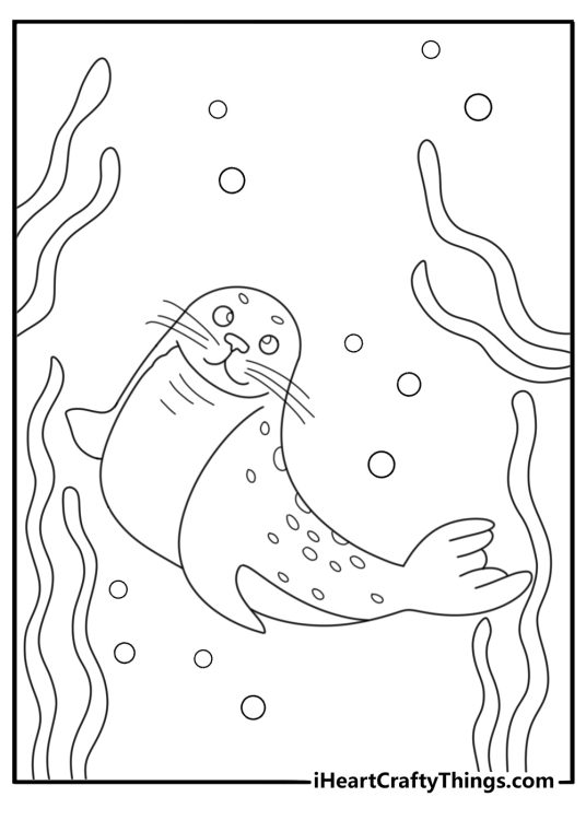 Seal coloring page showing seal swimming between seaweed strands