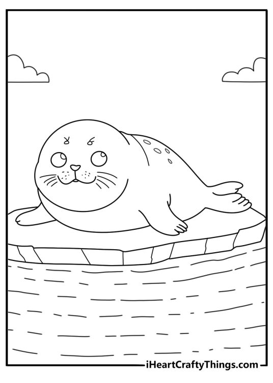 Seal coloring page with seal pup resting on snow near icy water