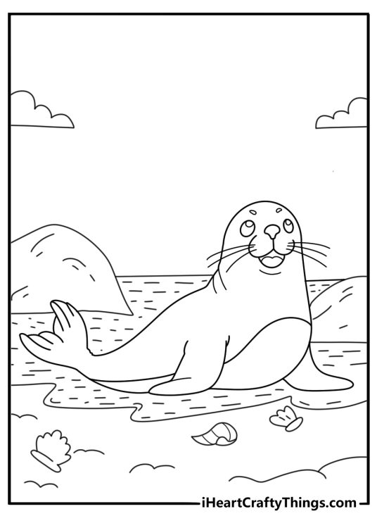 Seal coloring pages for kids with simple outline of seal near shells