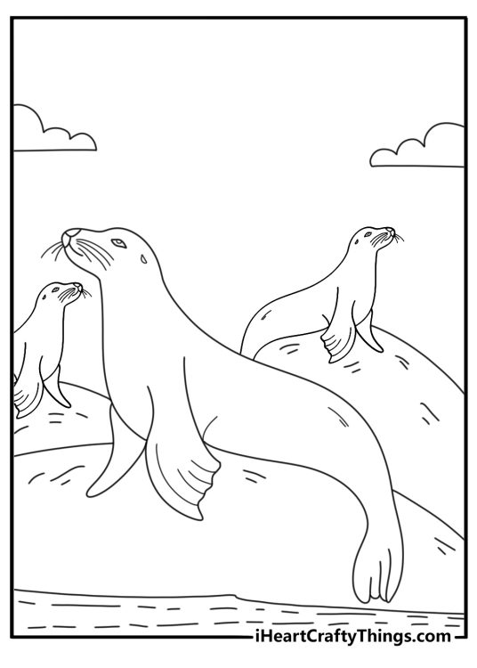 Seal coloring pages printable showing group of seals on rocky coast