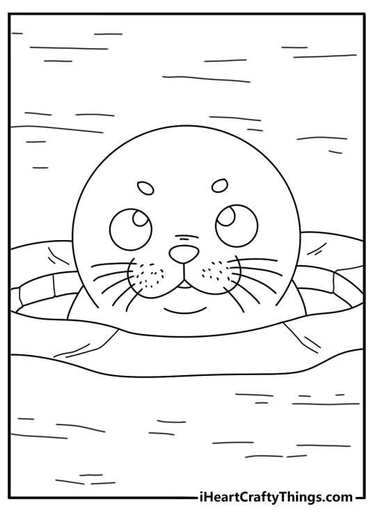 Seal pup coloring page with young seal peeking from ice hole