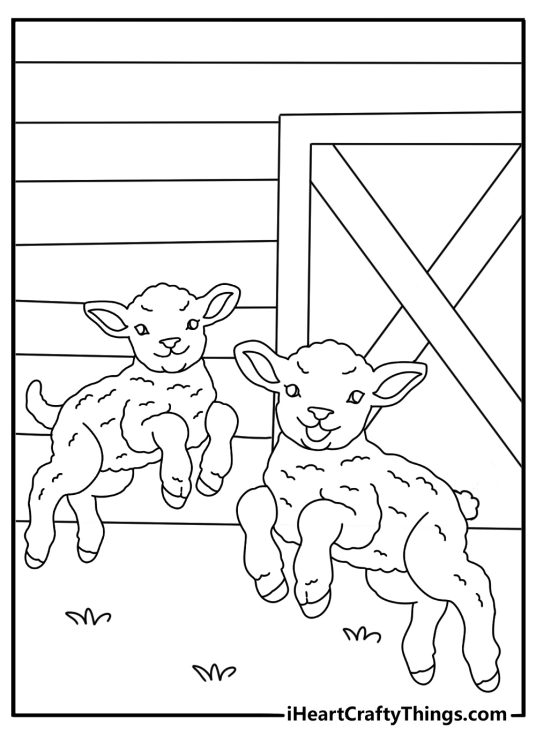 Sheep coloring picture for kids with two lambs playing near a barn door