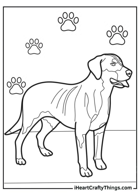 Simple Outline Of Greater Swiss Mountain Dog