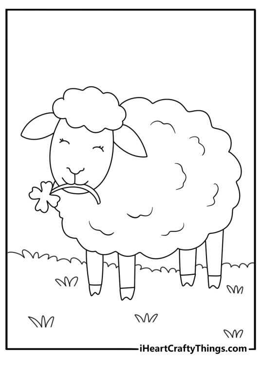 Simple coloring page of a sheep eating clover near a gate