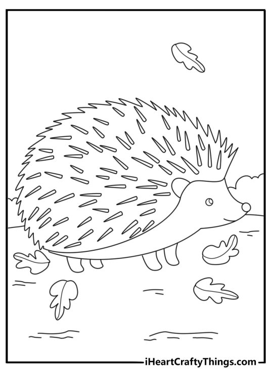 Simple forest coloring pages with hedgehog walking through dry leaves