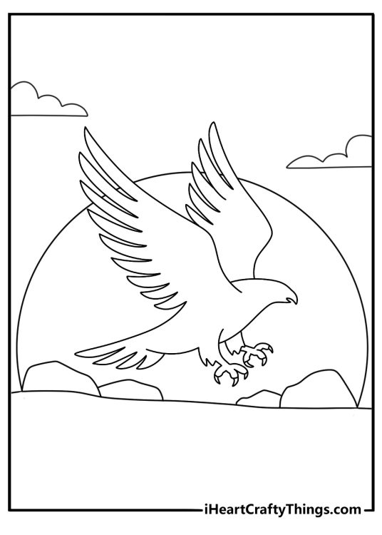 Simple hawk printable with a silhouette against a sunset sky