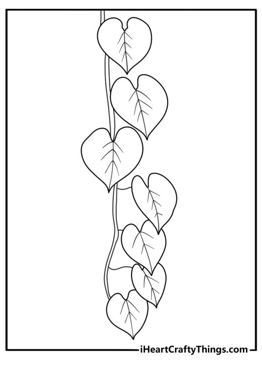 Simple leaf coloring page with a heart shaped leaf on a vine