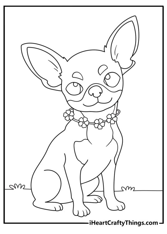 Simple printable coloring sheet of a Chihuahua in a flower collar