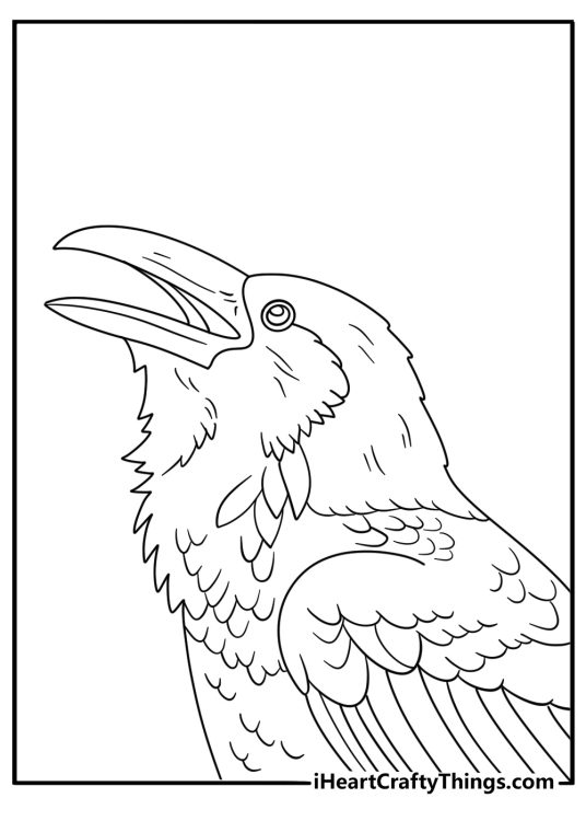 Simple printable raven coloring sheet with a raven beak and feather close up