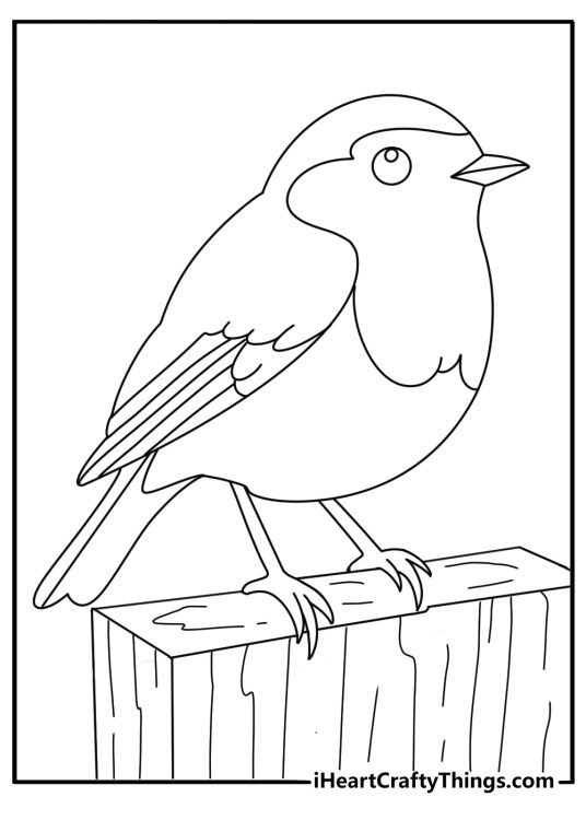 Simple robin coloring page with side view on fence post