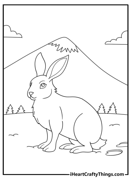 Snow hare with winter fur and paw prints detailed coloring page for adults